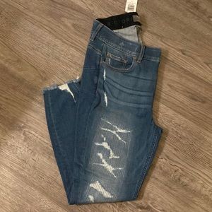 NEW WITH TAGS Torrid Jeans